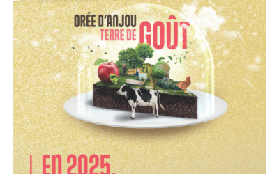 Orée Mag : arrêt de la distribution du magazine municipal dans les boîtes aux lettres