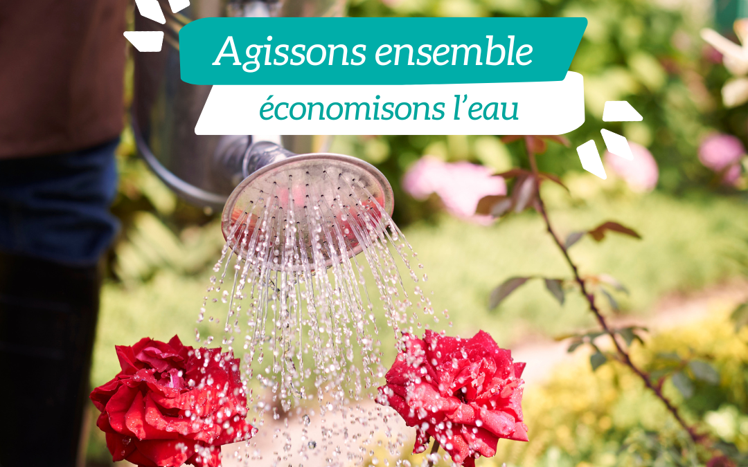 Tensions sur le réseau d&rsquo;eau potable : mesures de restriction