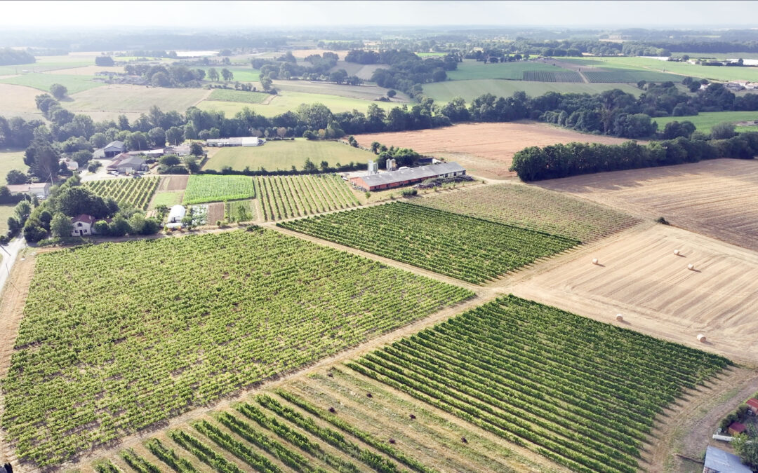 Lancement de la révision générale du PLU